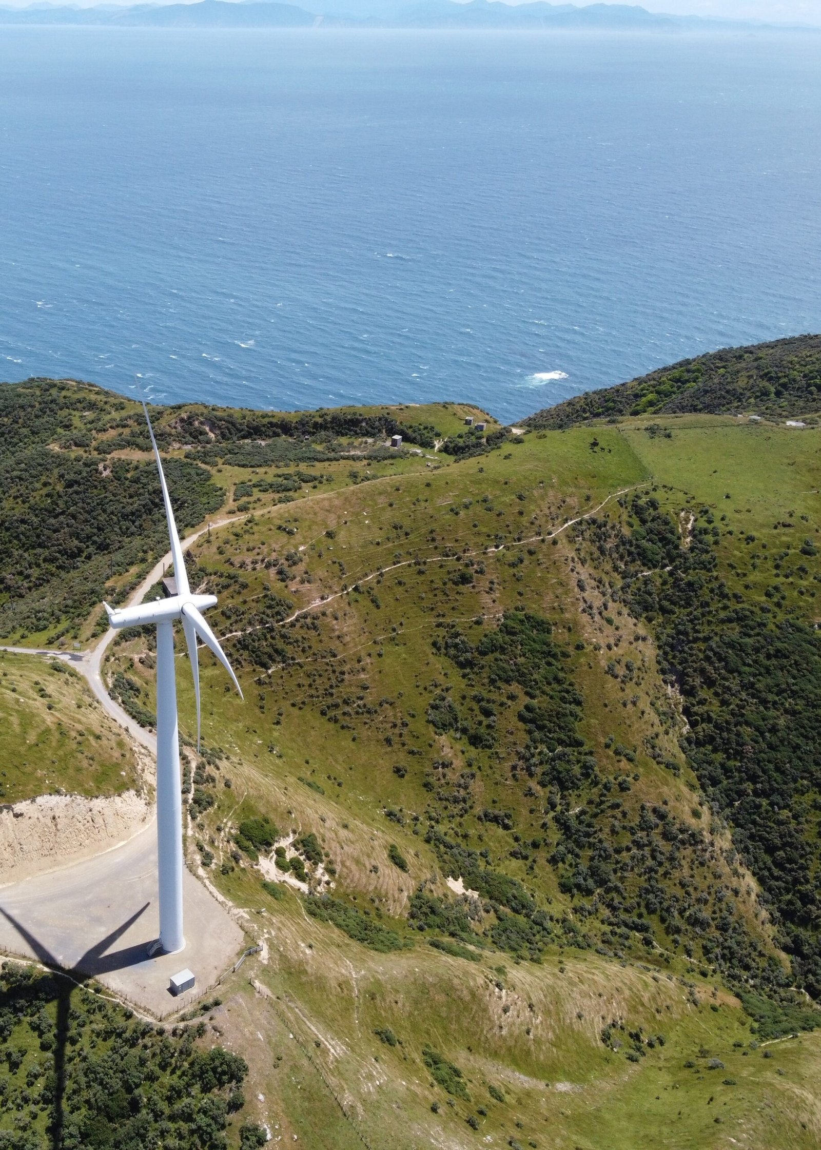 Environment & Sustainability